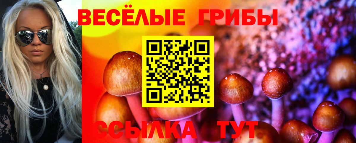 Междуреченск  Галлюциногенные грибы мухоморы  Вход с VPN 