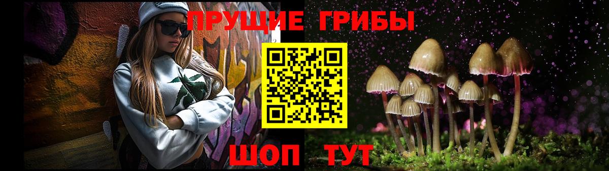 Псилоцибиновые грибы MAGIC MUSHROOMS Междуреченск